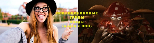 мет Белокуриха