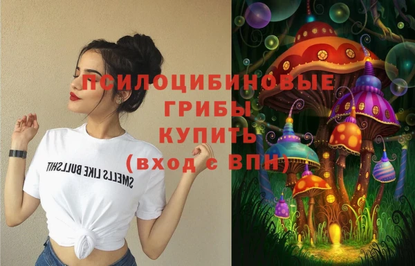 мет Белокуриха