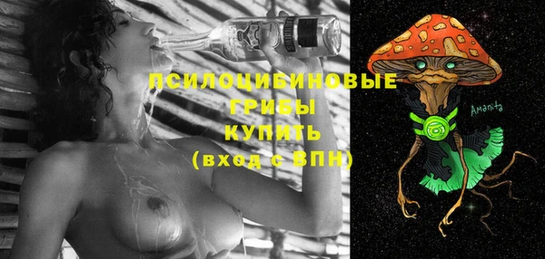 спайс Беломорск