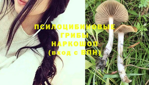 спайс Беломорск