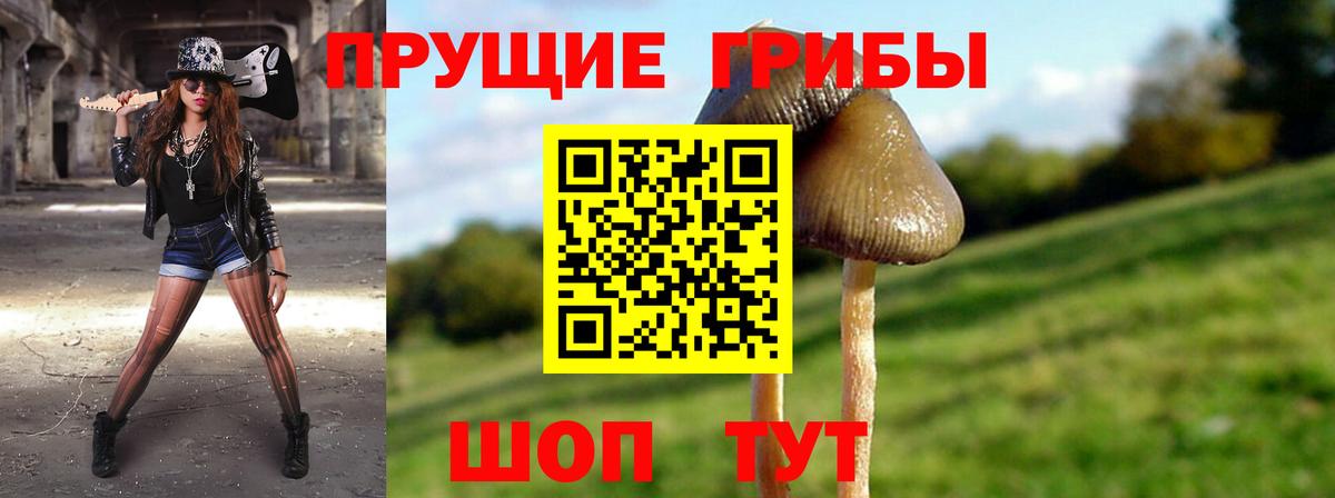 Псилоцибиновые грибы Cubensis Бузулук